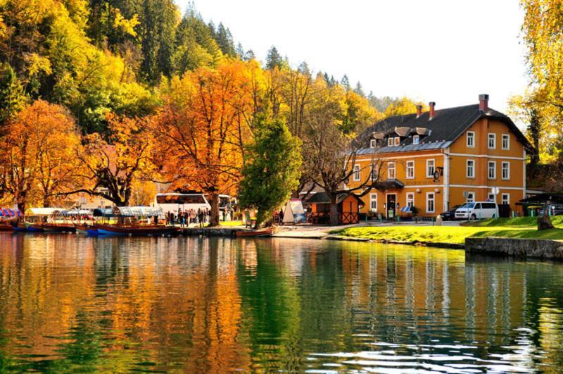 Hotel Starkl - Heritage & Unique Bled Exteriér fotografie